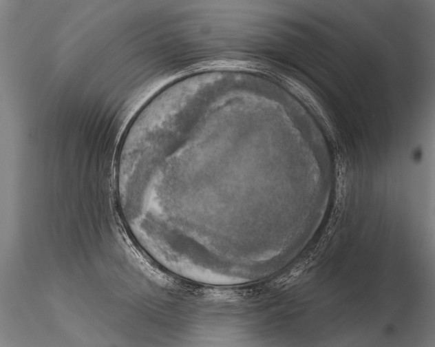 X0000115660852200912031331