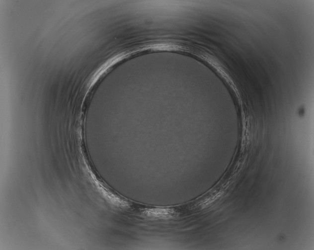 X0000115660853200912031331