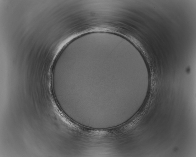 X0000115660854200912031331