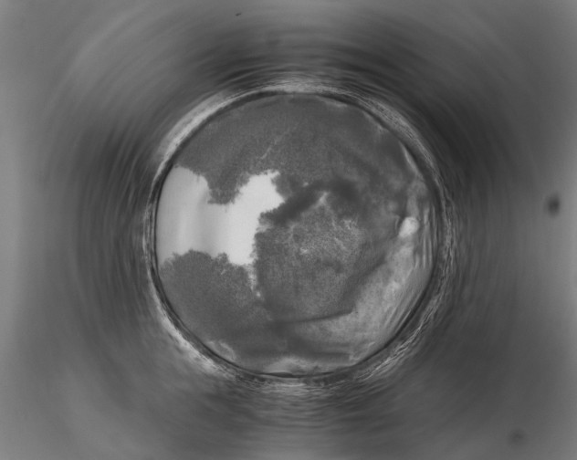 X0000115660855200912031331