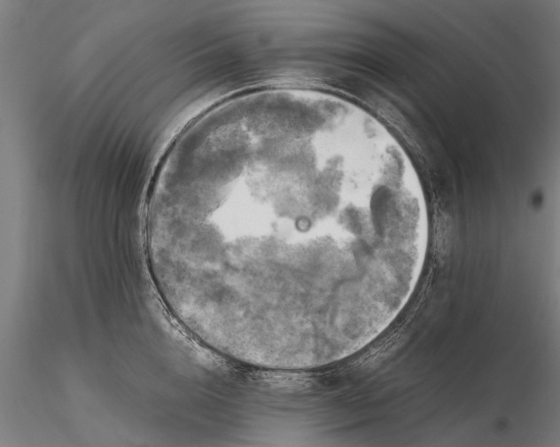 X0000115660856200912031331