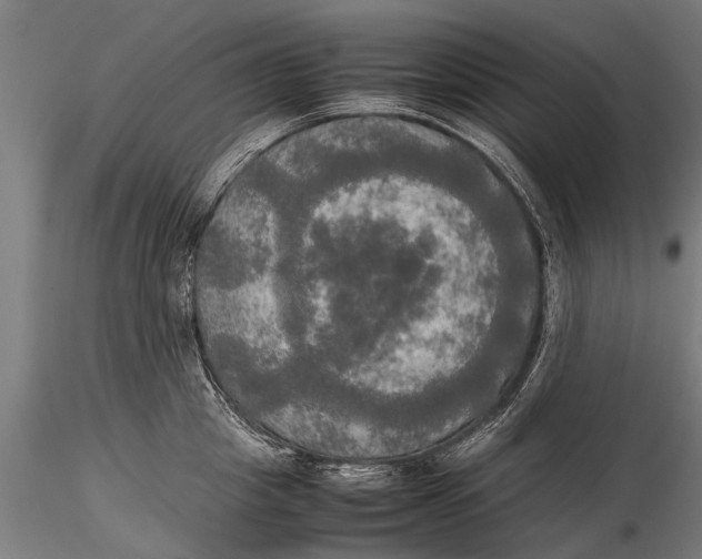 X0000115660857200912031331