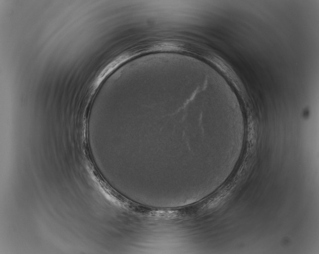 X0000115660858200912031331