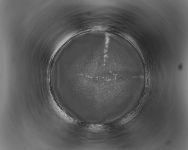 X0000115660859200912031331