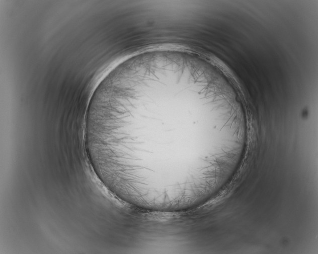 X0000115660860200912031331