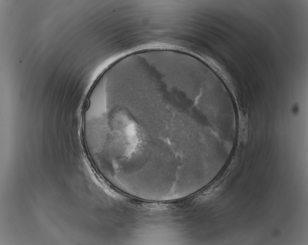 X0000115660862200912031331