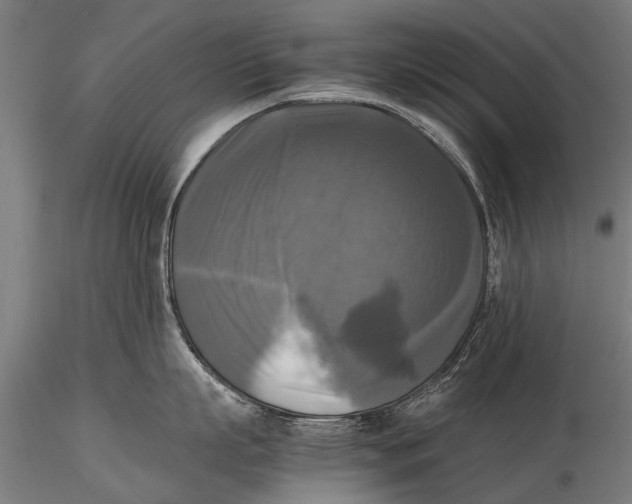 X0000115660863200912031331