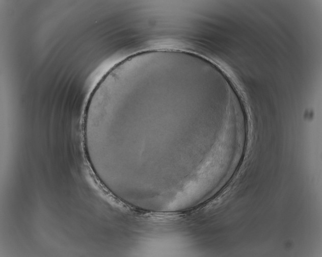 X0000115660864200912031331