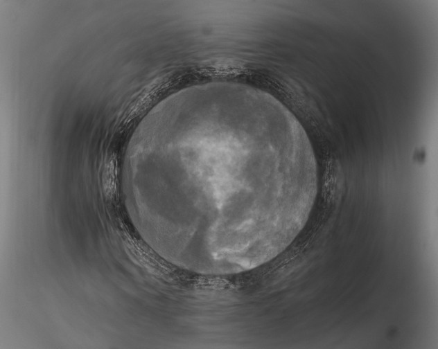 X0000115660866200912031330