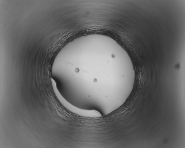 X0000115660868200912031330