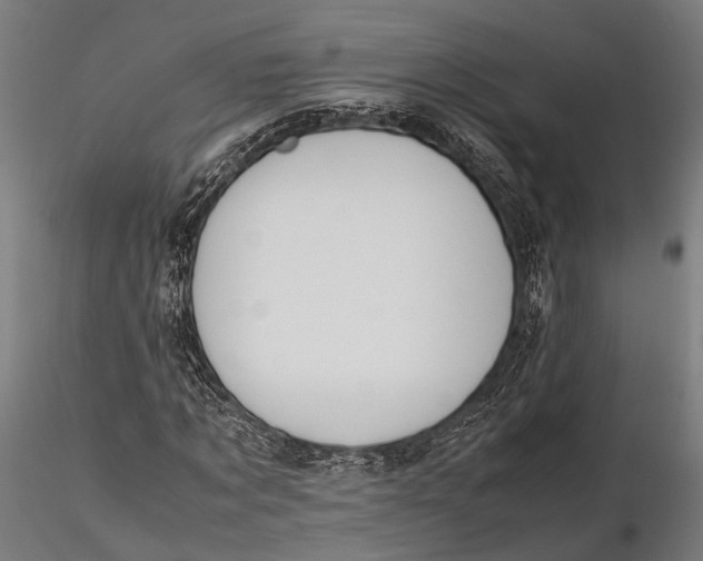 X0000115660869200912031330