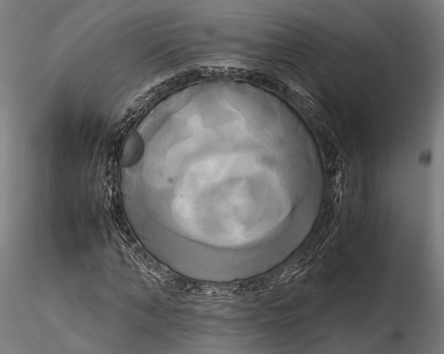 X0000115660870200912031330