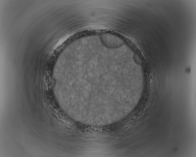 X0000115660871200912031330