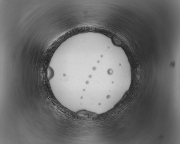 X0000115660872200912031330