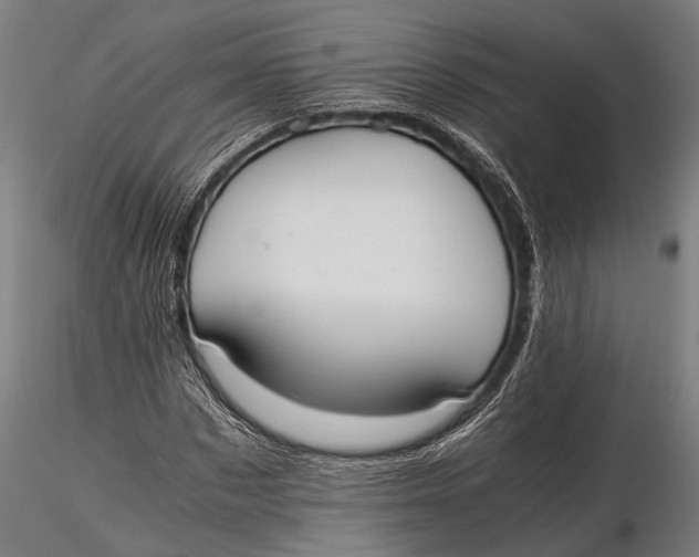 X0000115660873200912031330