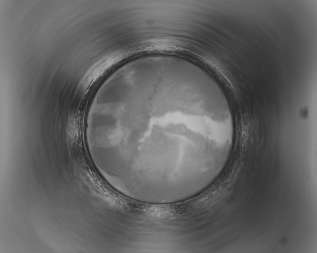 X0000115660874200912031330