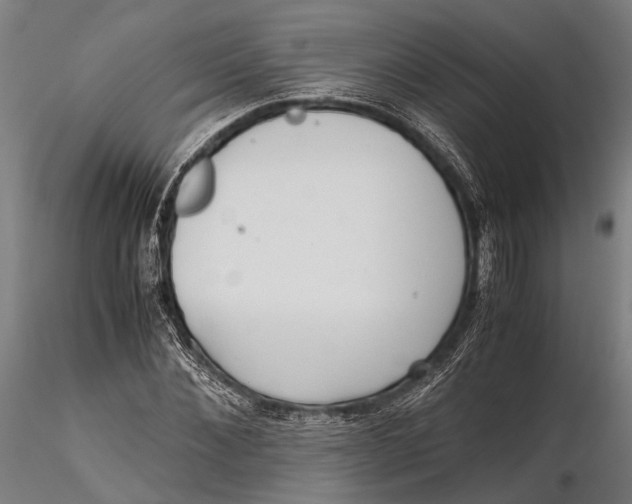 X0000115660876200912031330