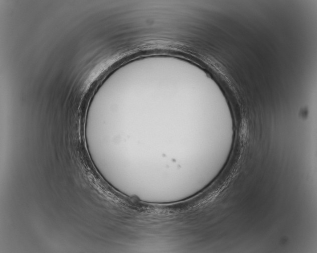 X0000115660877200912031330