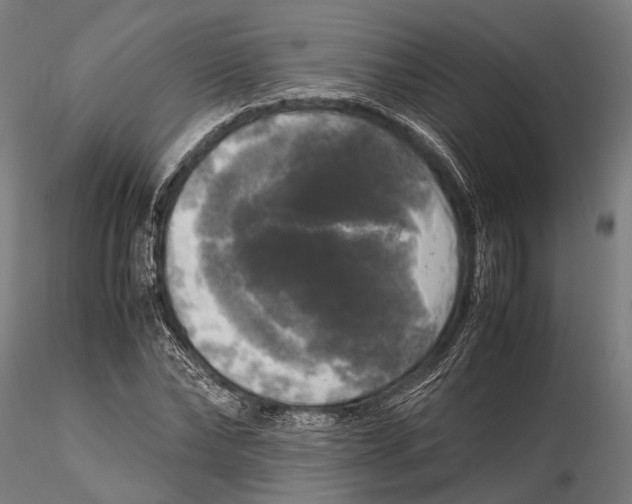 X0000115660878200912031330