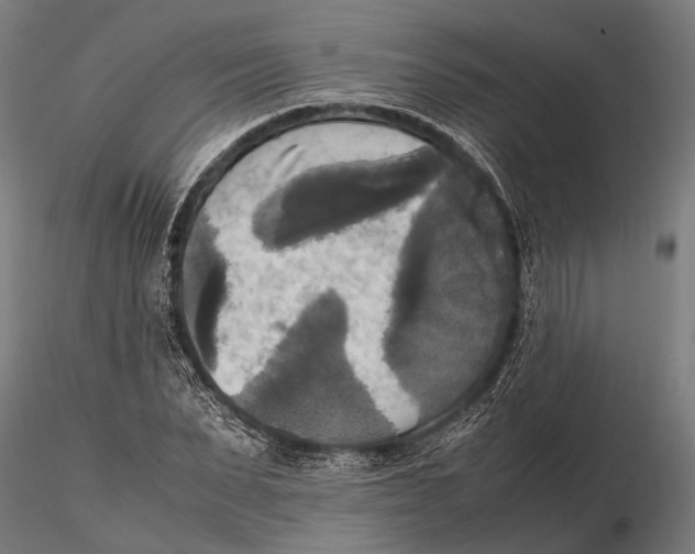 X0000115660879200912031330