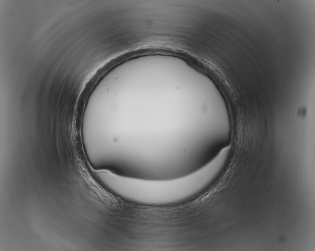 X0000115660880200912031330