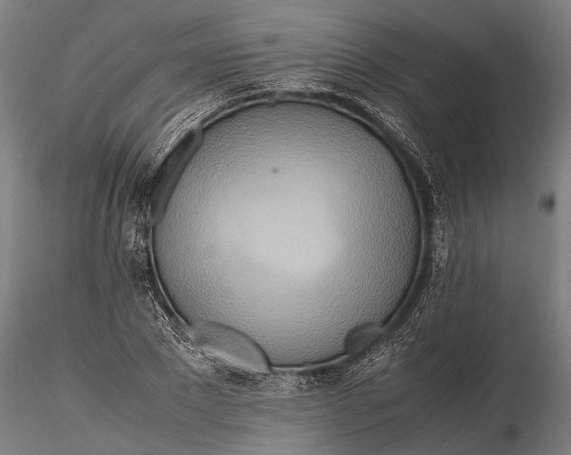 X0000115660881200912031330