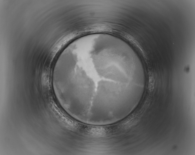 X0000115660882200912031330