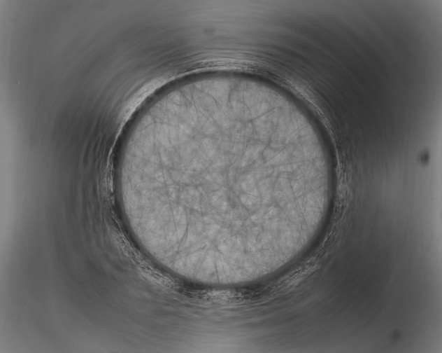 X0000115660883200912031330