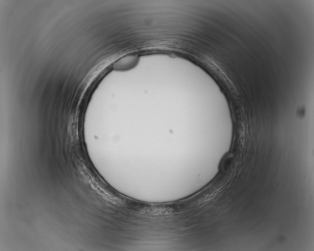 X0000115660884200912031330