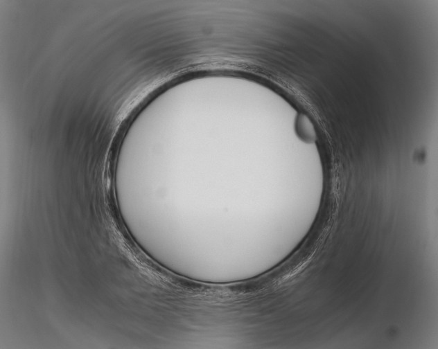 X0000115660885200912031330