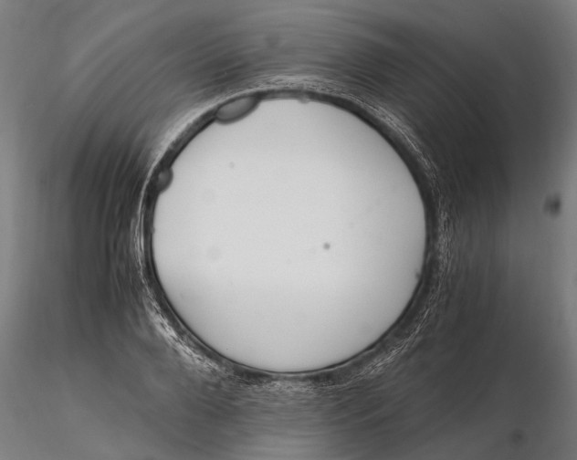 X0000115660888200912031330