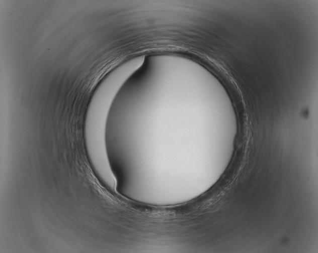 X0000115660889200912031330