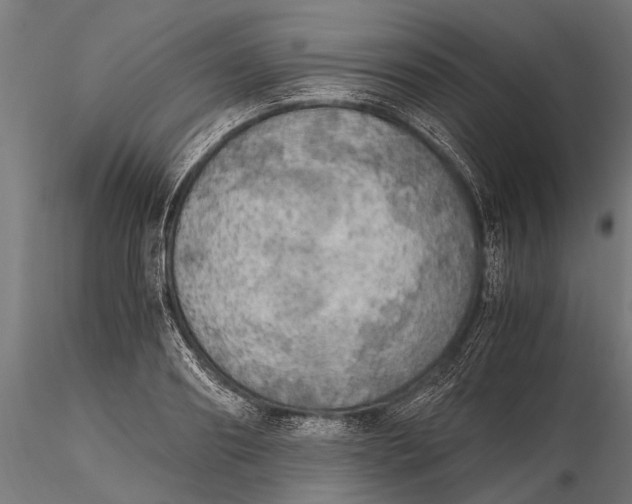 X0000115660890200912031330