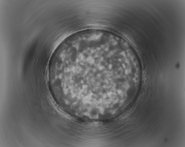 X0000115660891200912031330