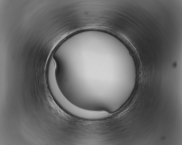 X0000115660892200912031329