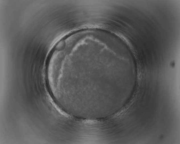 X0000115660894200912031329