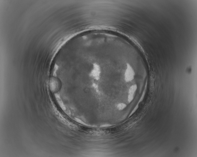 X0000115660895200912031329