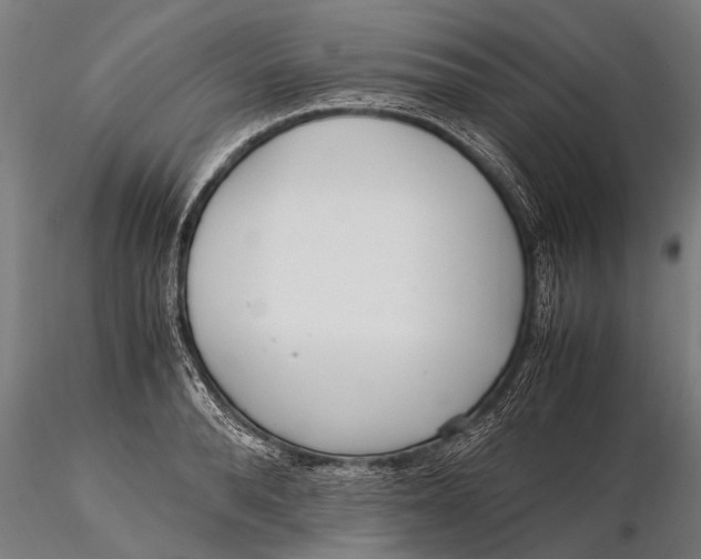 X0000115660896200912031329