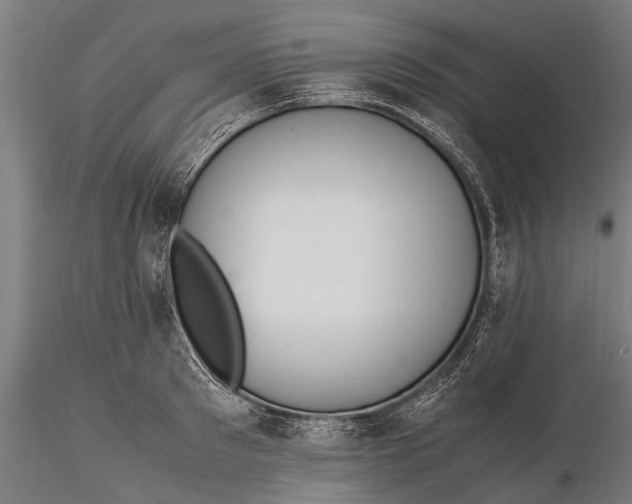 X0000115660897200912031329