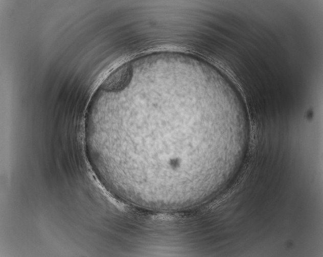 X0000115660898200912031329