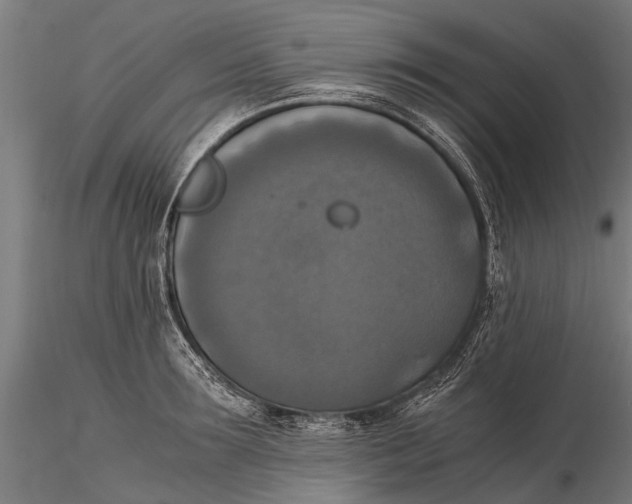 X0000115660899200912031329