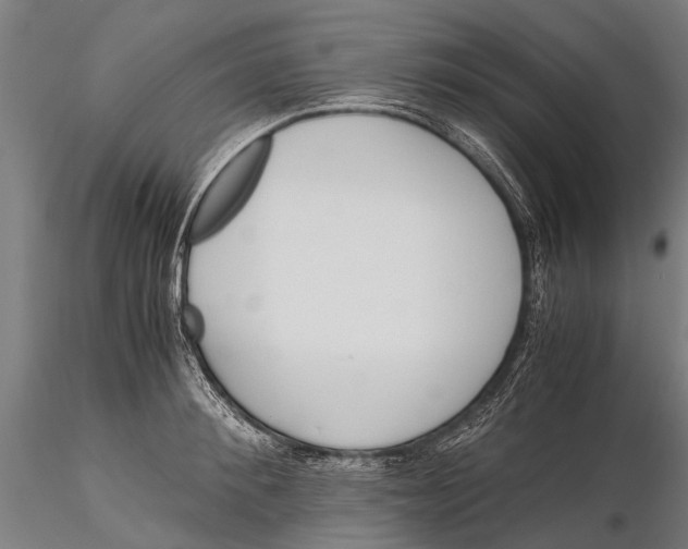 X0000115660900200912031329