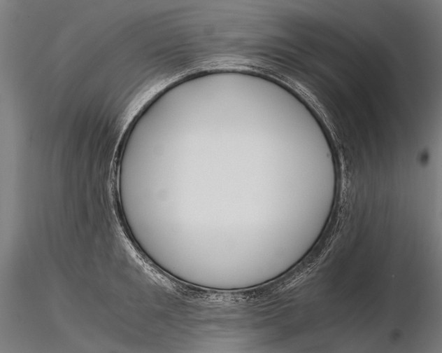 X0000115660901200912031329