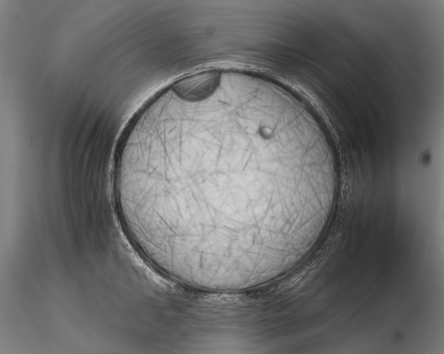 X0000115660902200912031329