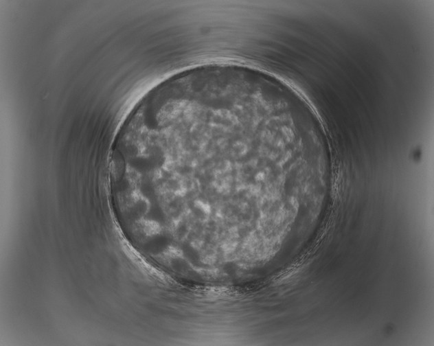 X0000115660903200912031329