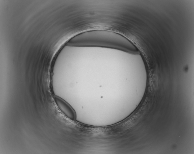 X0000115660904200912031329