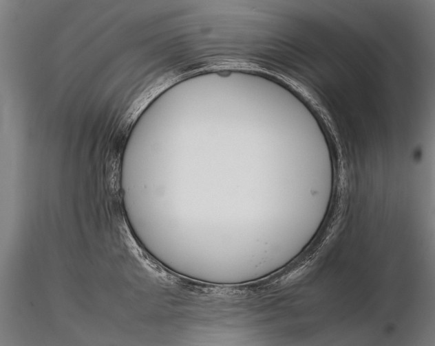 X0000115660905200912031329