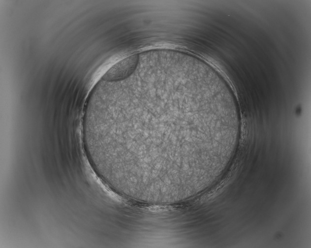 X0000115660906200912031329