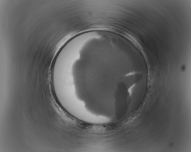 X0000115660907200912031329