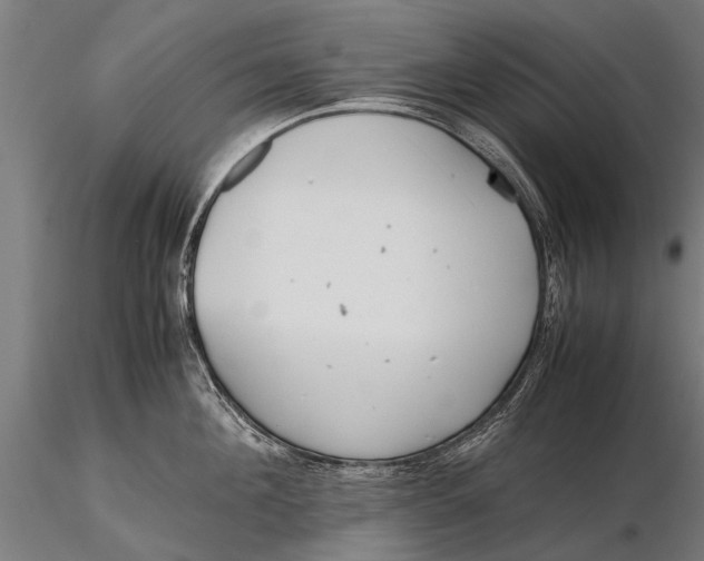 X0000115660908200912031329